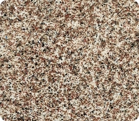 Coastal Bronze