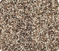 Coastal Bronze